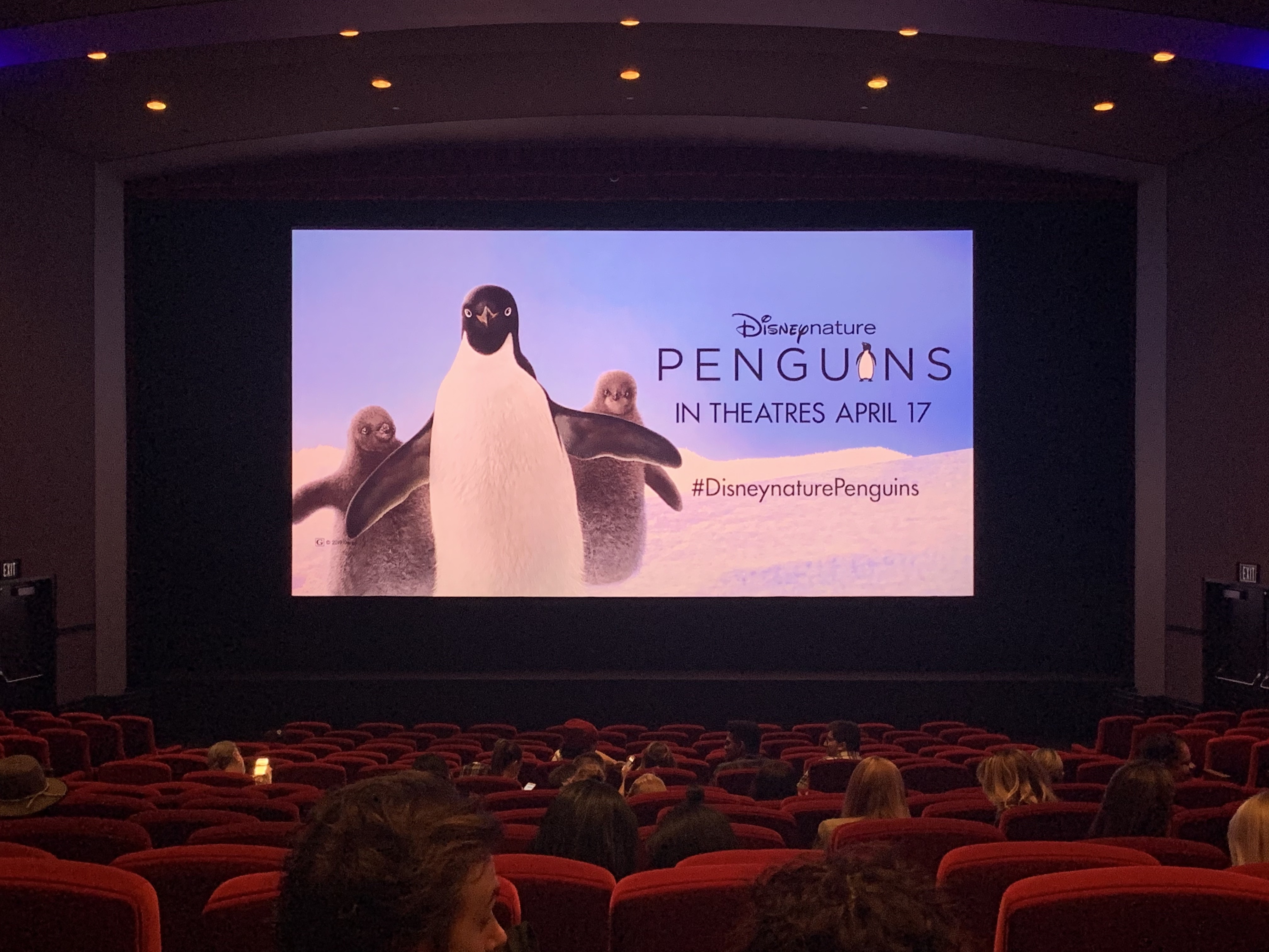 Media Preview: Disneynature’s Penguins Hit the Big Screen