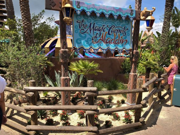 Camel Near The Magic Carpets Of Aladdin Is Missing