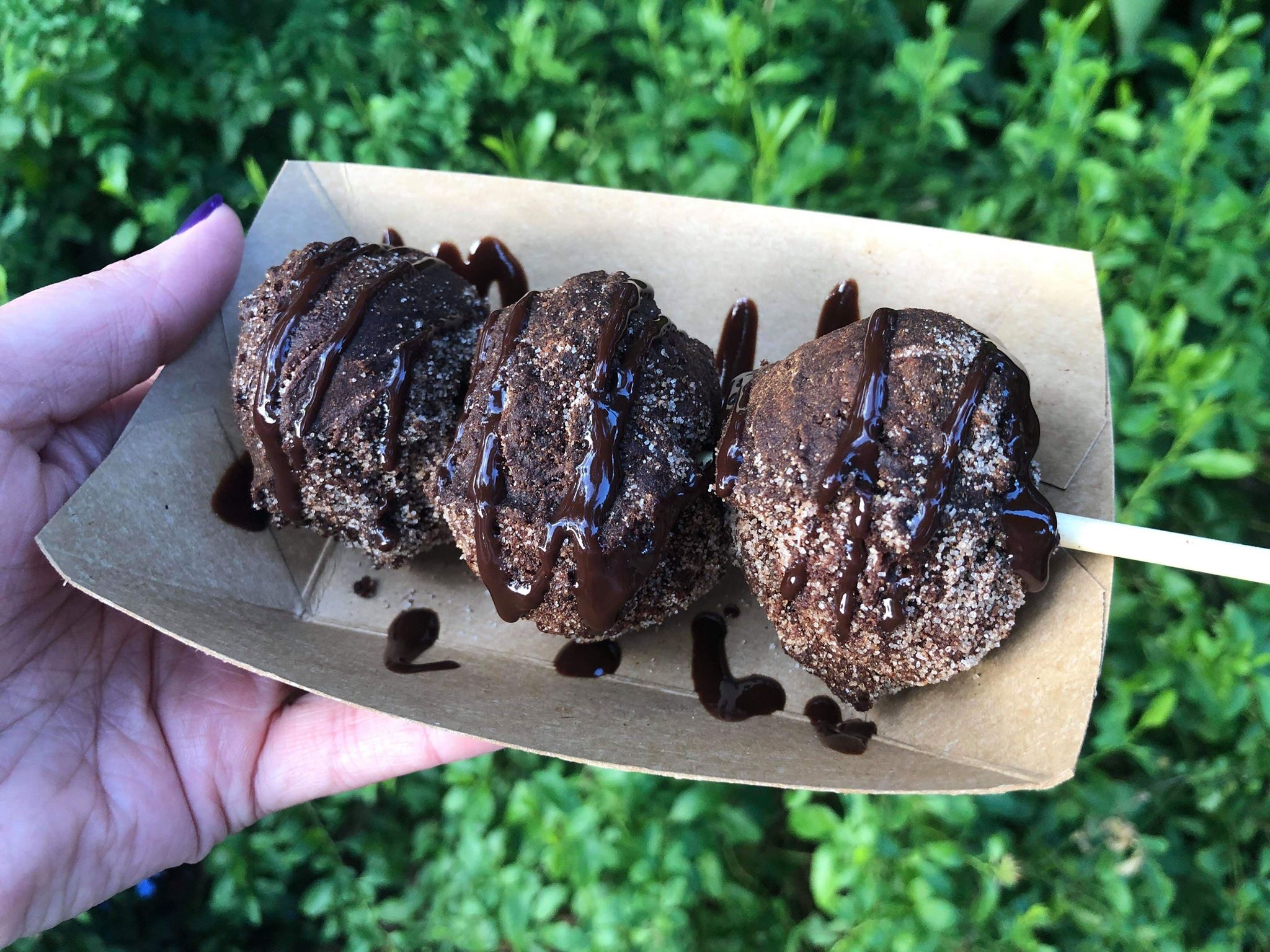 Chocolate Donut Holes From Isle Of Java In Disney’s Animal Kingdom Theme Park