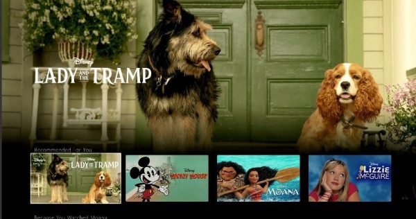 Live Action 'Lady and the Tramp' Set to Release on Disney+