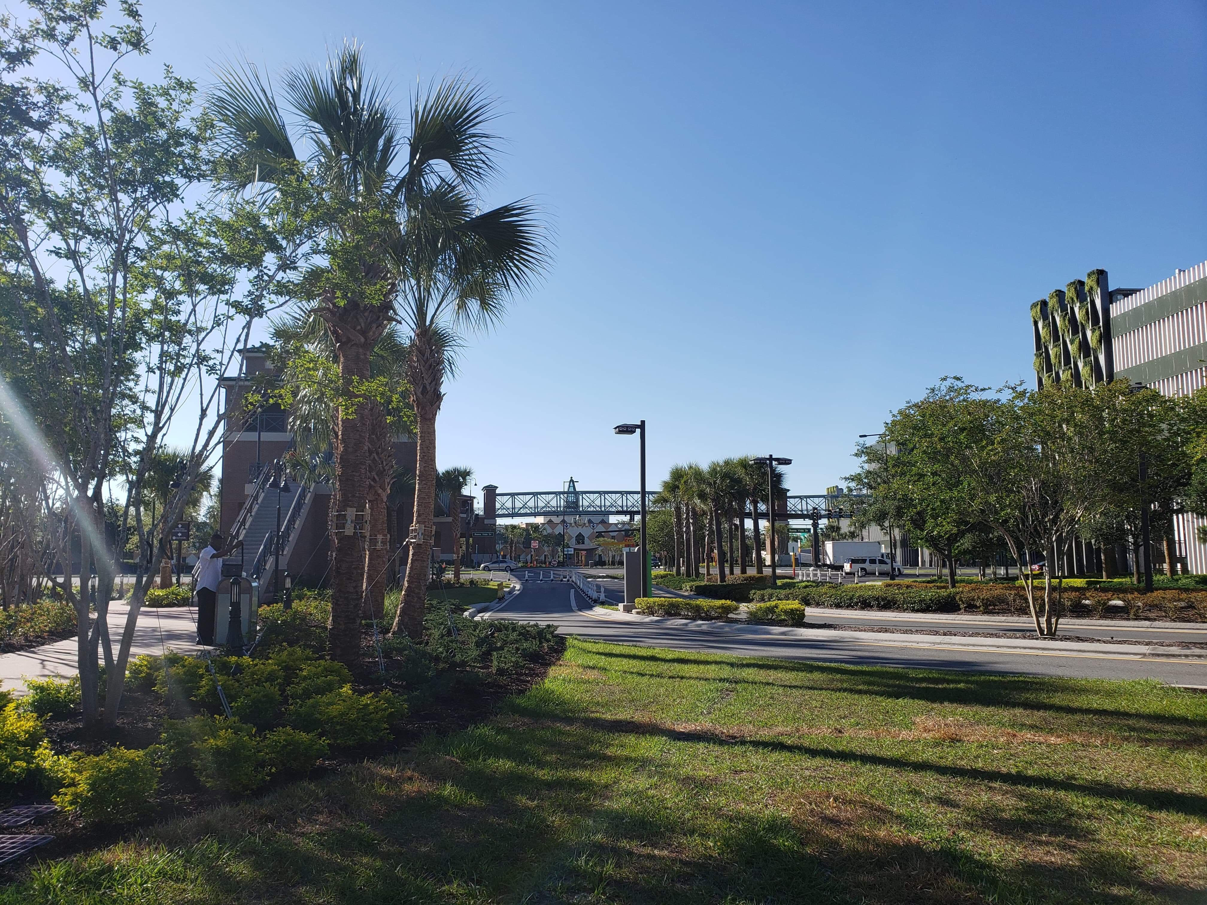 Grapefruit Garage Now Open At Disney Springs Chip and Company