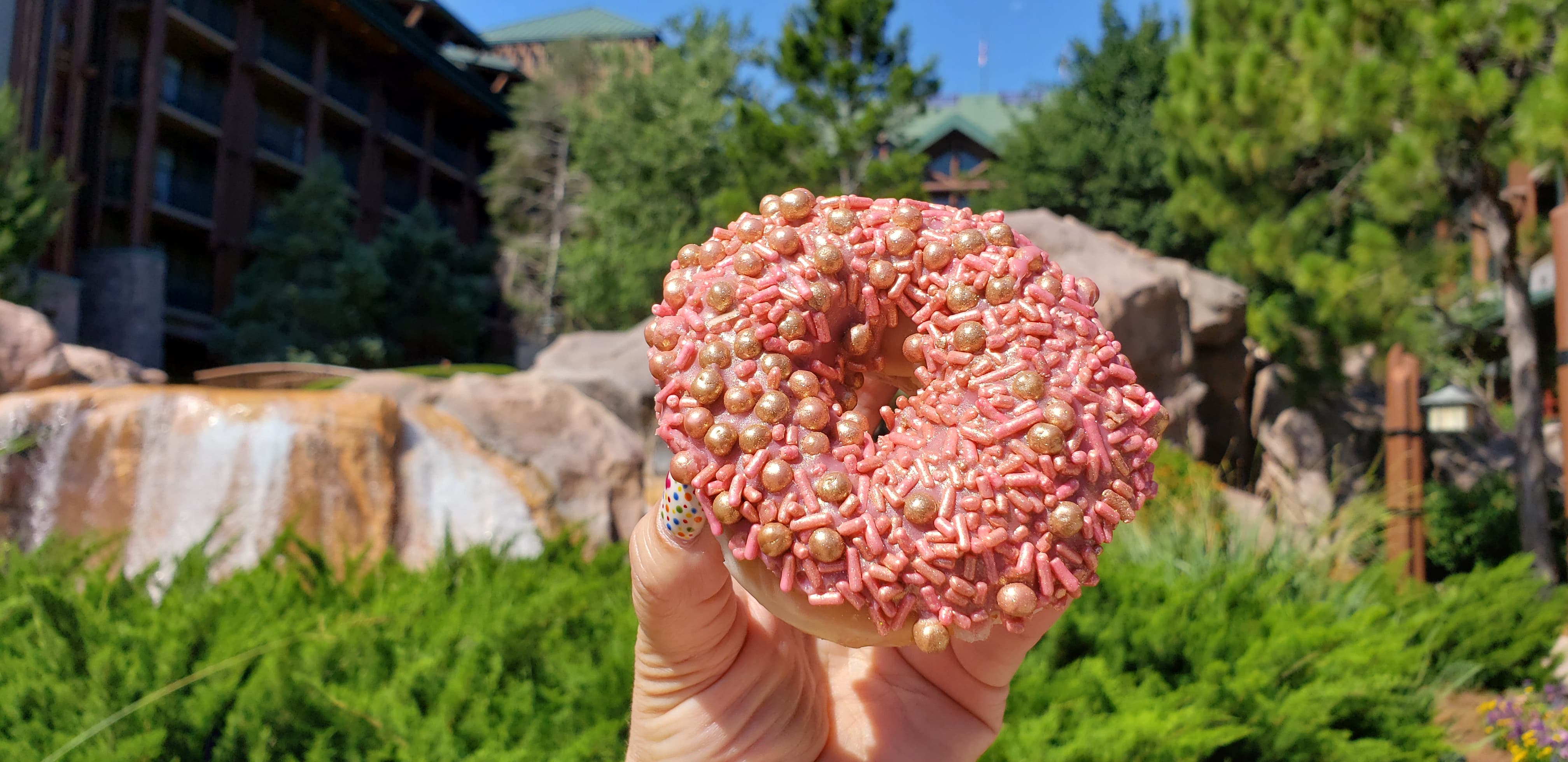 The Briar Rose Doughnut Has Been Spotted at Walt Disney World