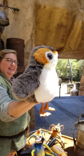 Adopt Star Wars Creatures From The Creature Stall At Galaxy's Edge