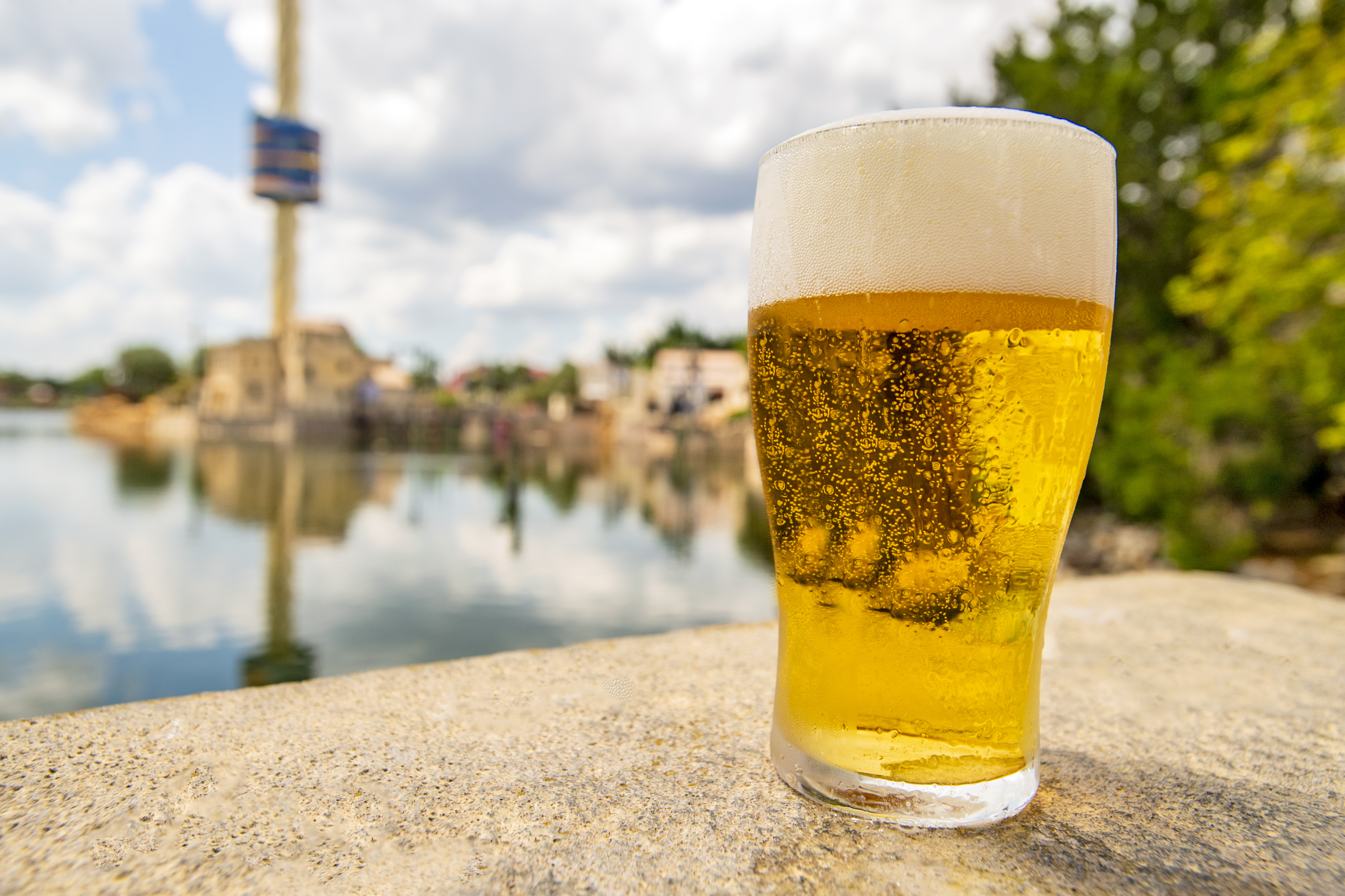 Free Beer is Back! Rotating Tap Beers are Free and Return this Summer to SeaWorld Orlando