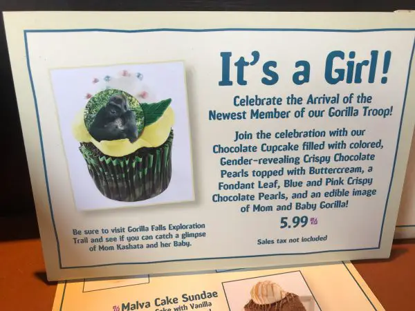 Celebrate Animal Kingdom's Baby Gorilla With A Gender Reveal Cupcake