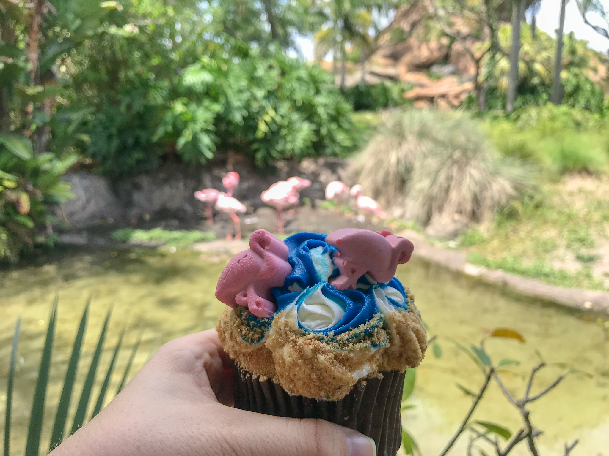 Flamingo Cupcake Makes Debut At Animal Kingdom