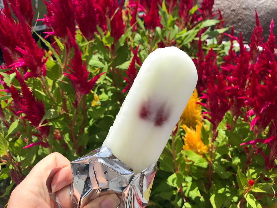 New Cocktail Popsicles Spotted in Epcot’s Italy Pavilion.