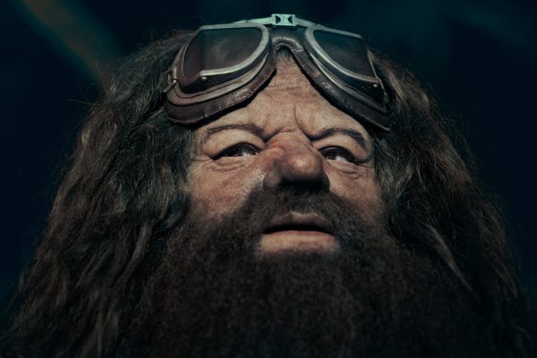 10_Hagrid's Animated Figure