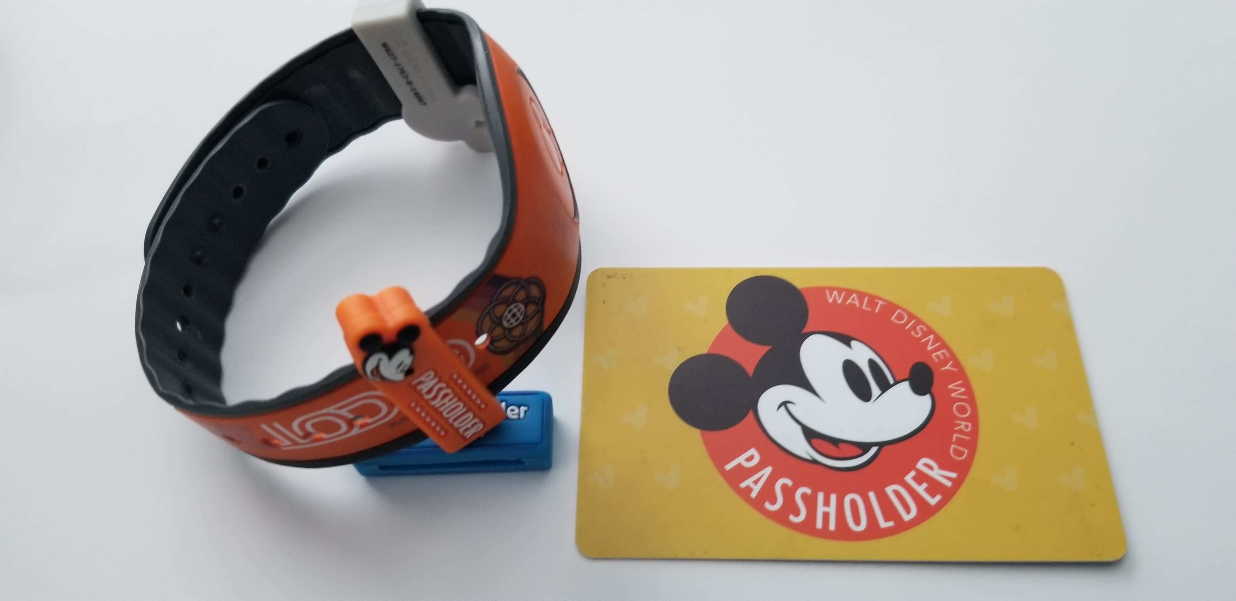 Bring a Friend is Back for Walt Disney World Annual Passholders
