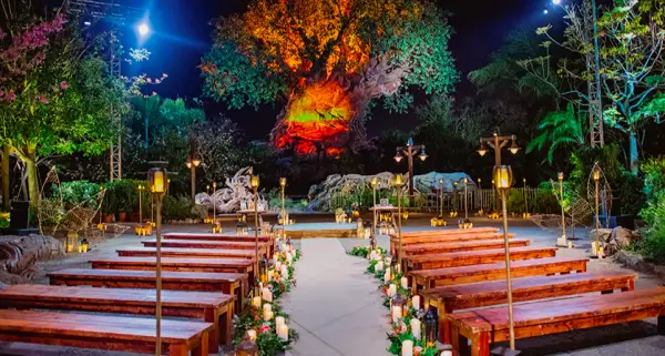 Tree of Life Wedding