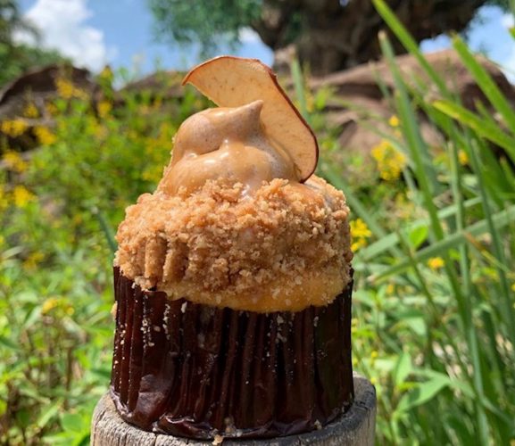 Salted Caramel Apple Crisp Cupcake At Animal Kingdom