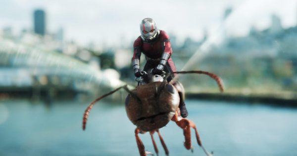 Paul Rudd Wants Marvel Studios to Make an "Ant Man 3"