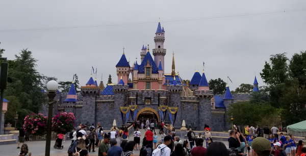 Disneyland Donating Excess Food During Temporary Closure