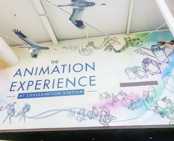 animation experience animal kingdom