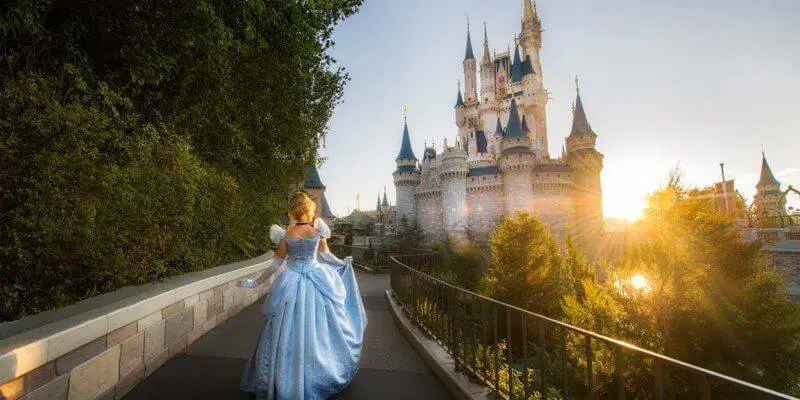 Night in Cinderella’s Castle is Up for Bid