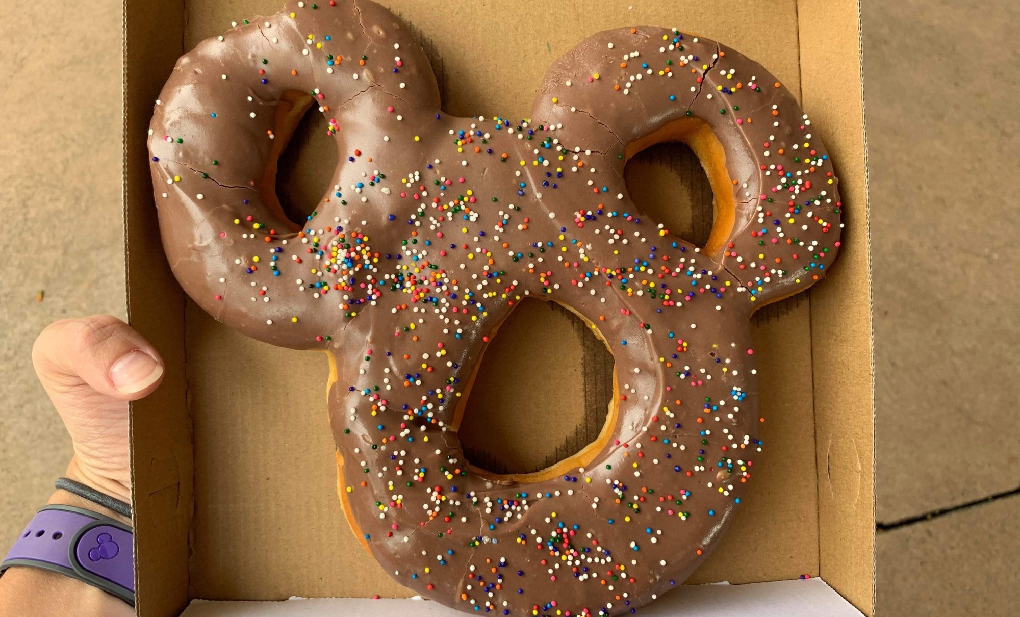 Mickey-Shaped Donuts No Longer Included in Dining Plan