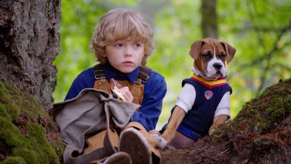 Pup Academy- Film Still2-Christian Convery and 'Spark' (The Stray)