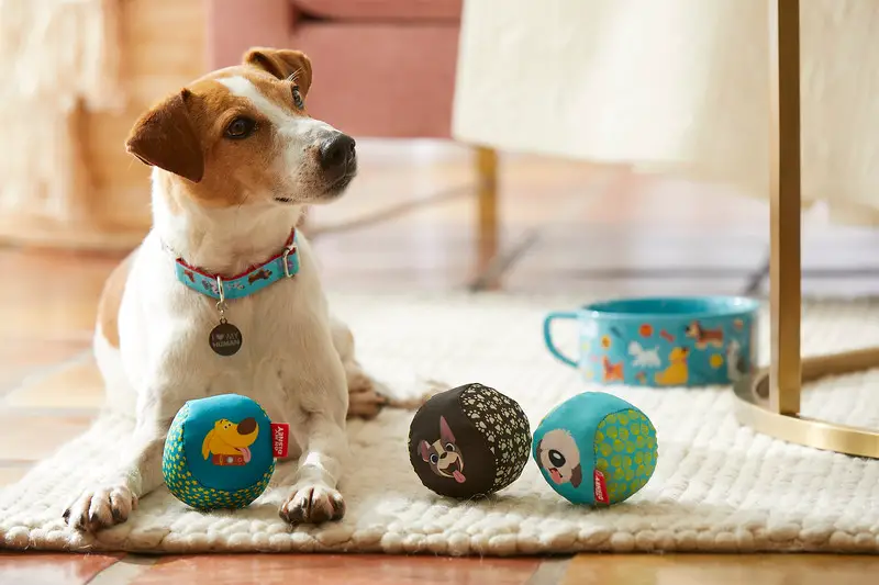 New Oh My Disney: Disney Dogs Collection At shopDisney and Disney Store