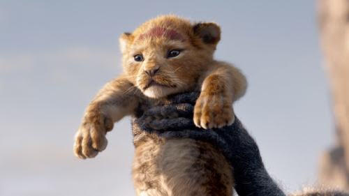 'The Lion King' Had The Lions Share At The Box Office This Weekend
