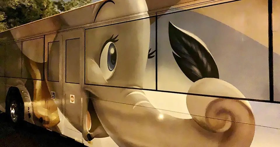 New Disney Character Buses Spotted, Dumbo And Guardians Of The Galaxy!