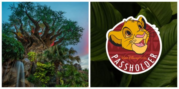 Special Annual Passholder offerings coming to the Animal Kingdom on August 29th
