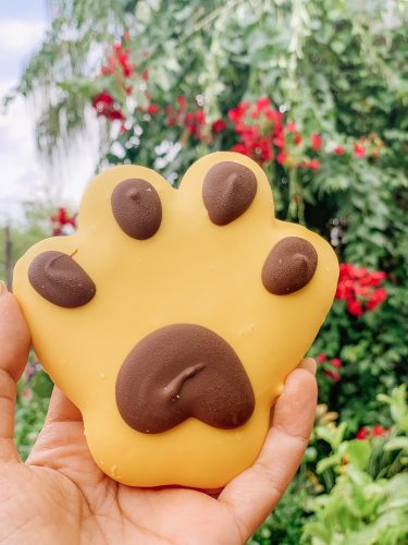 Work on Your Roar with the Lion Paw Cookie