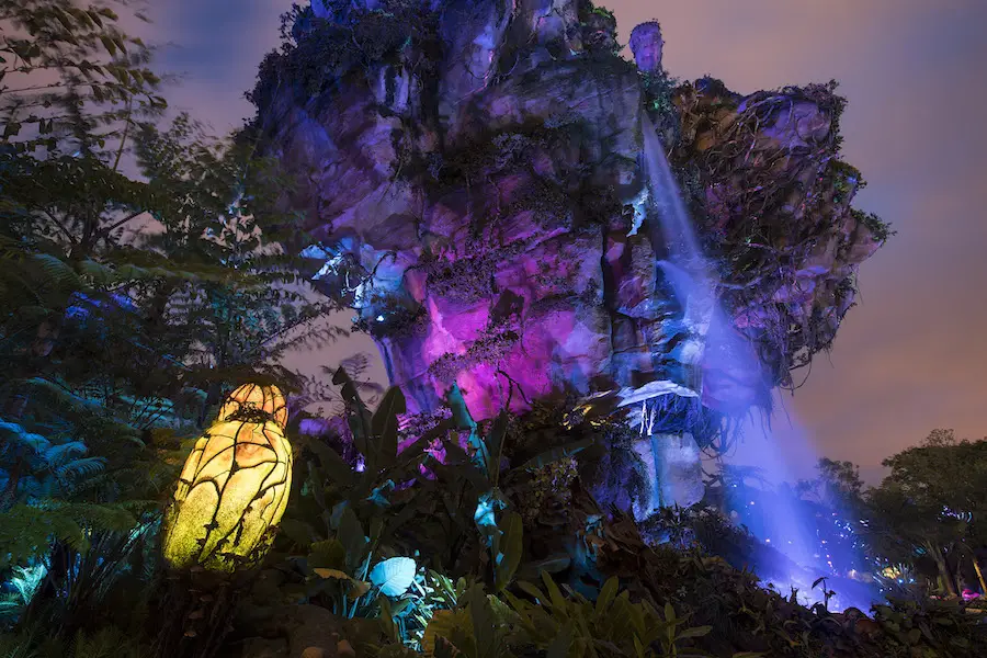 New Disney After Hours Dates Announced For Magic King and Animal Kingdom