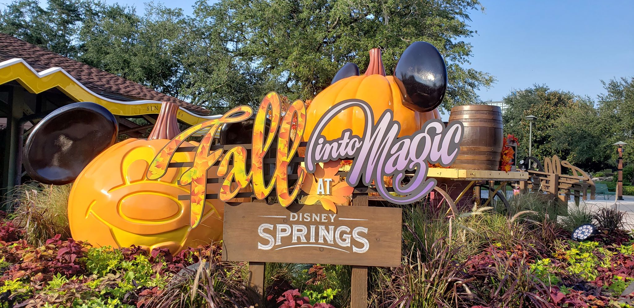 Fall into Magic at Disney Springs