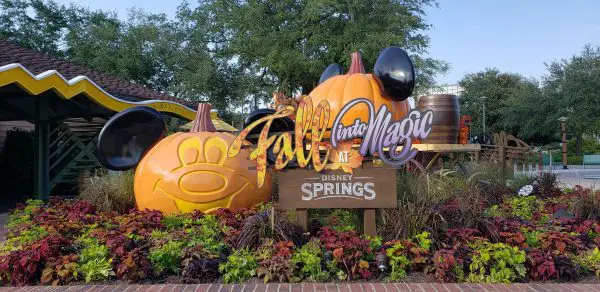 Fall into Magic at Disney Springs