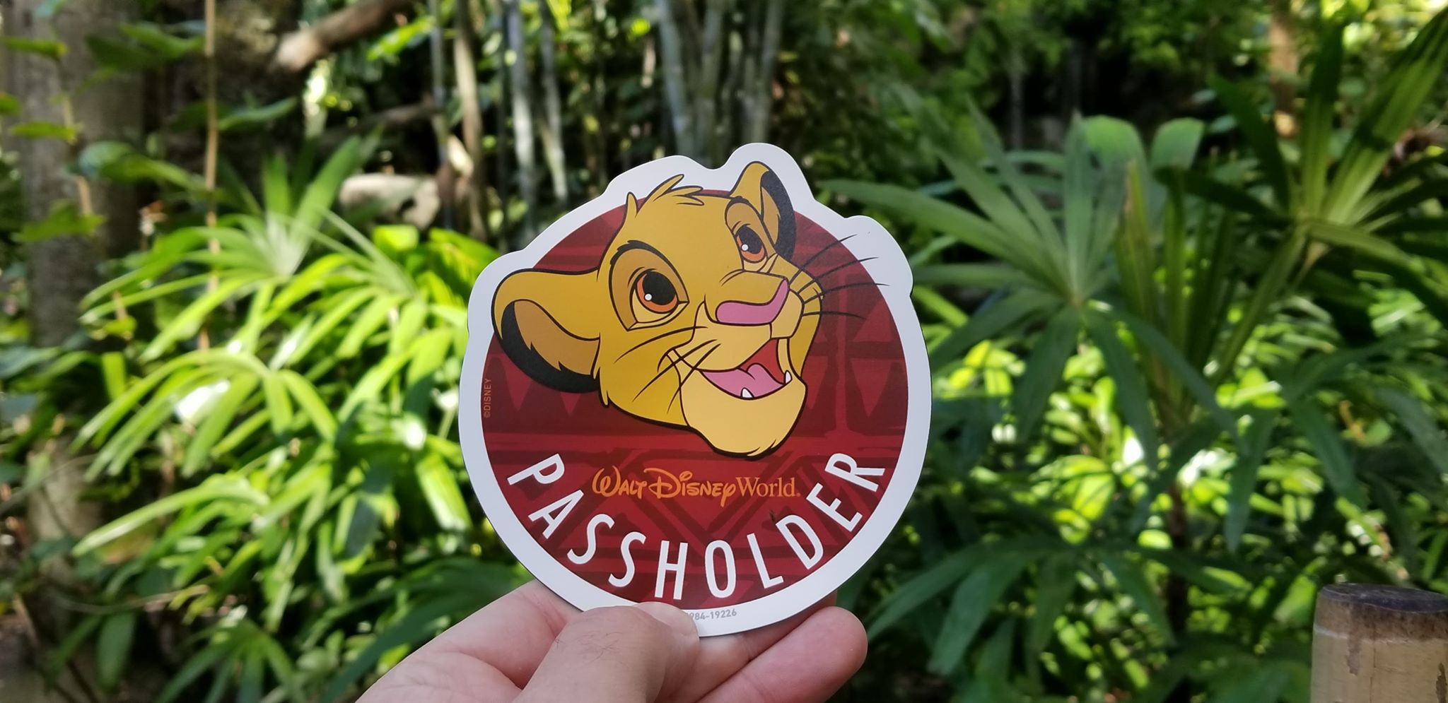 Disney is mailing Annual Passholder Simba Magnet from the Animal Kingdom