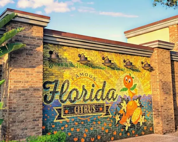 New Orange Bird Wall Spotted at Disney Springs