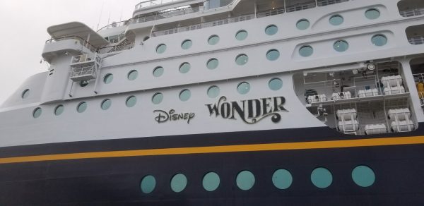 Boy Was Attacked By An Anteater During a Disney Cruise Vacation