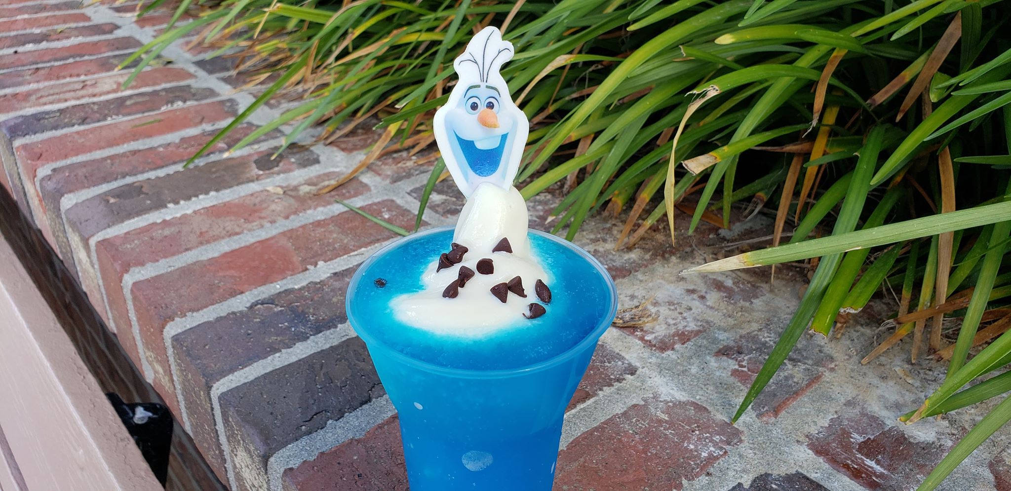 Olaf Dole Whip Slushie Now Available At Disney Springs
