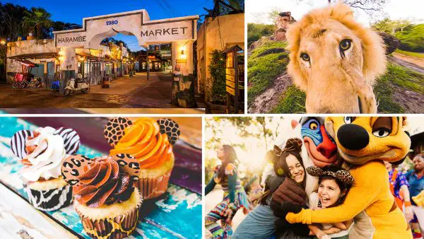 Circle of Flavors: Harambe at Night is returning to Animal Kingdom this December