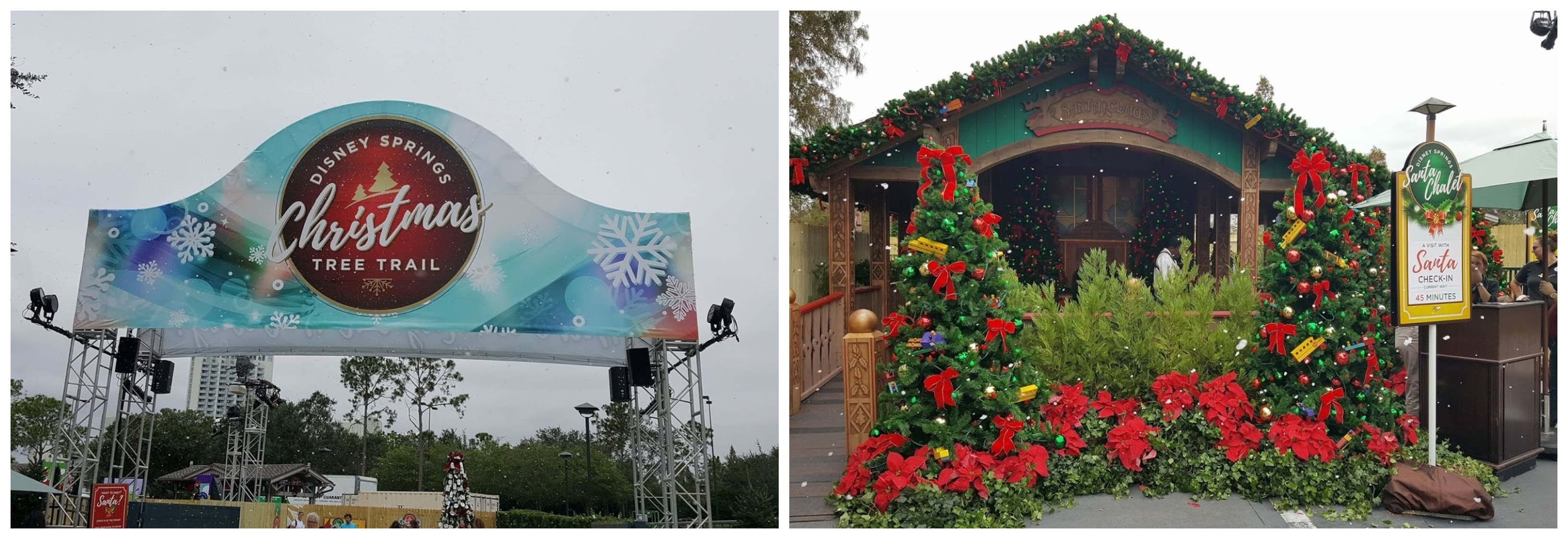 Themes Released For Disney Springs’ 2019 Christmas Tree Trail!