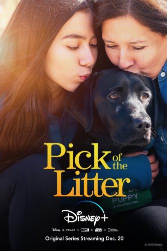 Docuseries 'Pick of the Litter' Coming to Disney+ December 20th