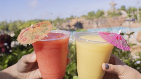 aestically pleasing instagrammable drinks at typhoon lagoon