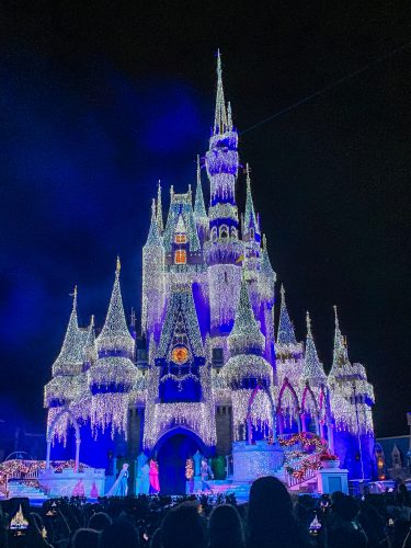 Magic Kingdom is Decked for Christmas