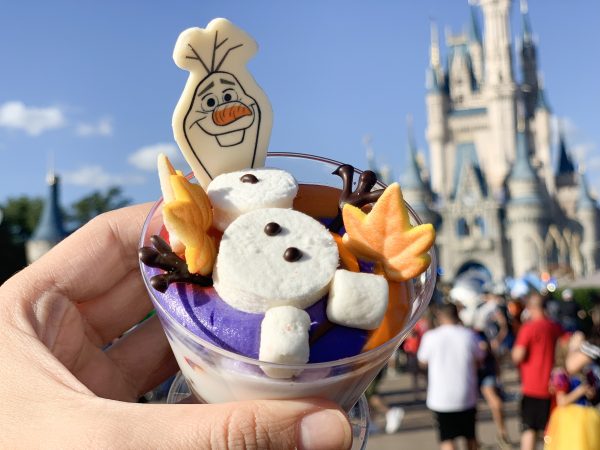 Olaf Dessert Magic Kingdom