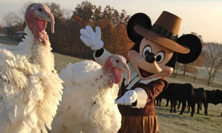 Disney World Celebrates Thanksgiving with Special Meals and Menus