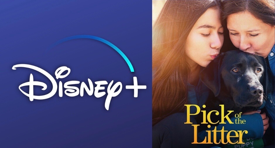 Docuseries ‘Pick of the Litter’ Coming to Disney+ December 20th