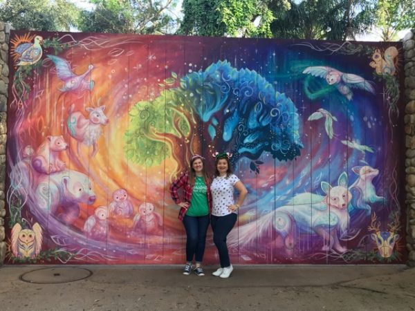 New Holiday Instagram Worthy Wall Spotted at Animal Kingdom
