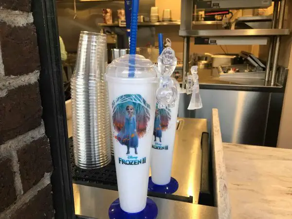 New Frozen 2 Sipper Spotted in Disney Springs