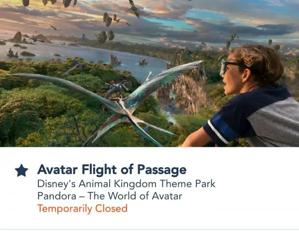 Possible Fire Breaks out at Flight of Passage