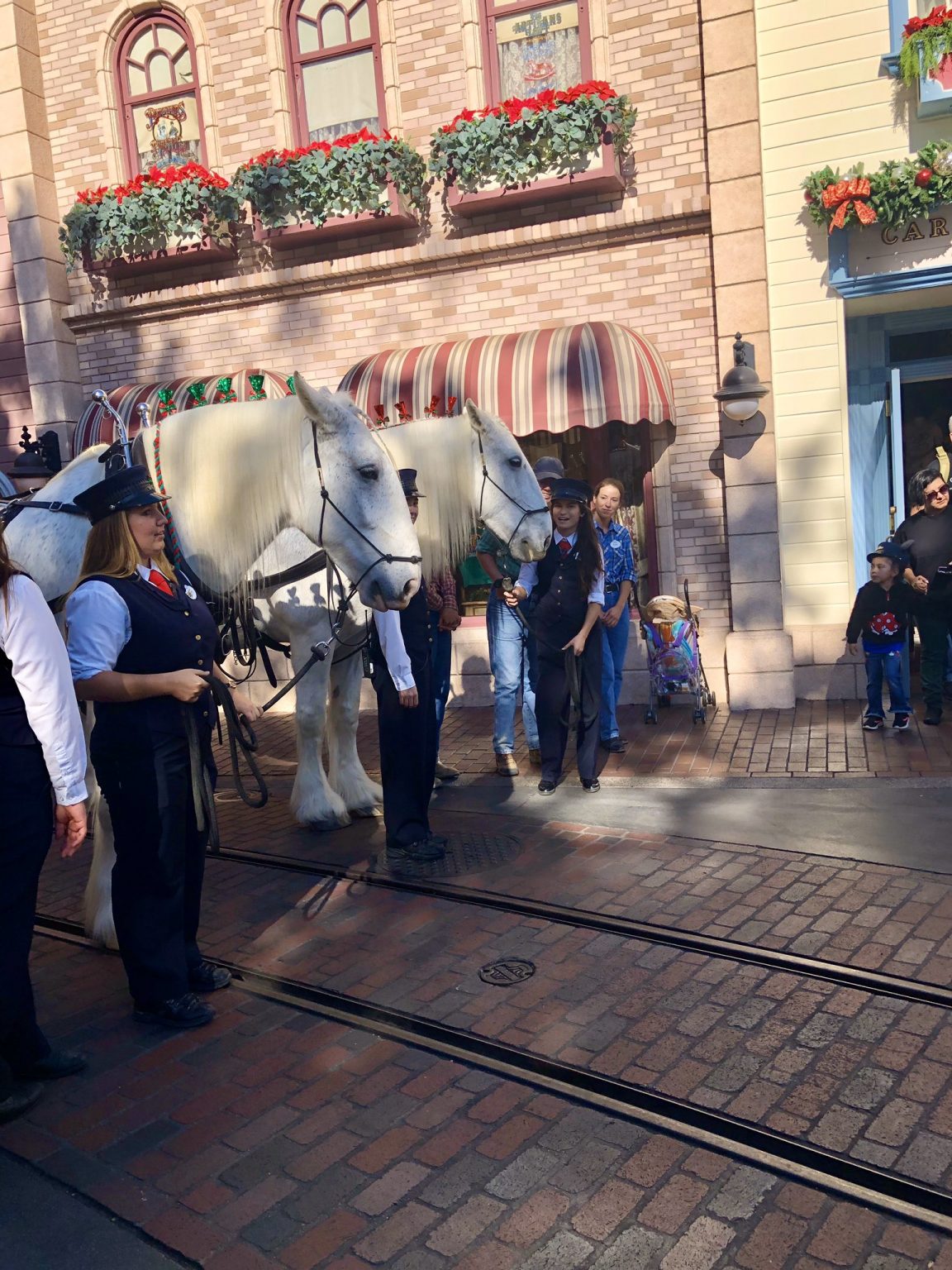 Two of Disneyland’s Beloved Horses Are Now Retired Cast Members | Chip ...