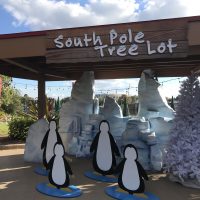 Celebrate The Season With The Christmas Celebration At SeaWorld Orlando