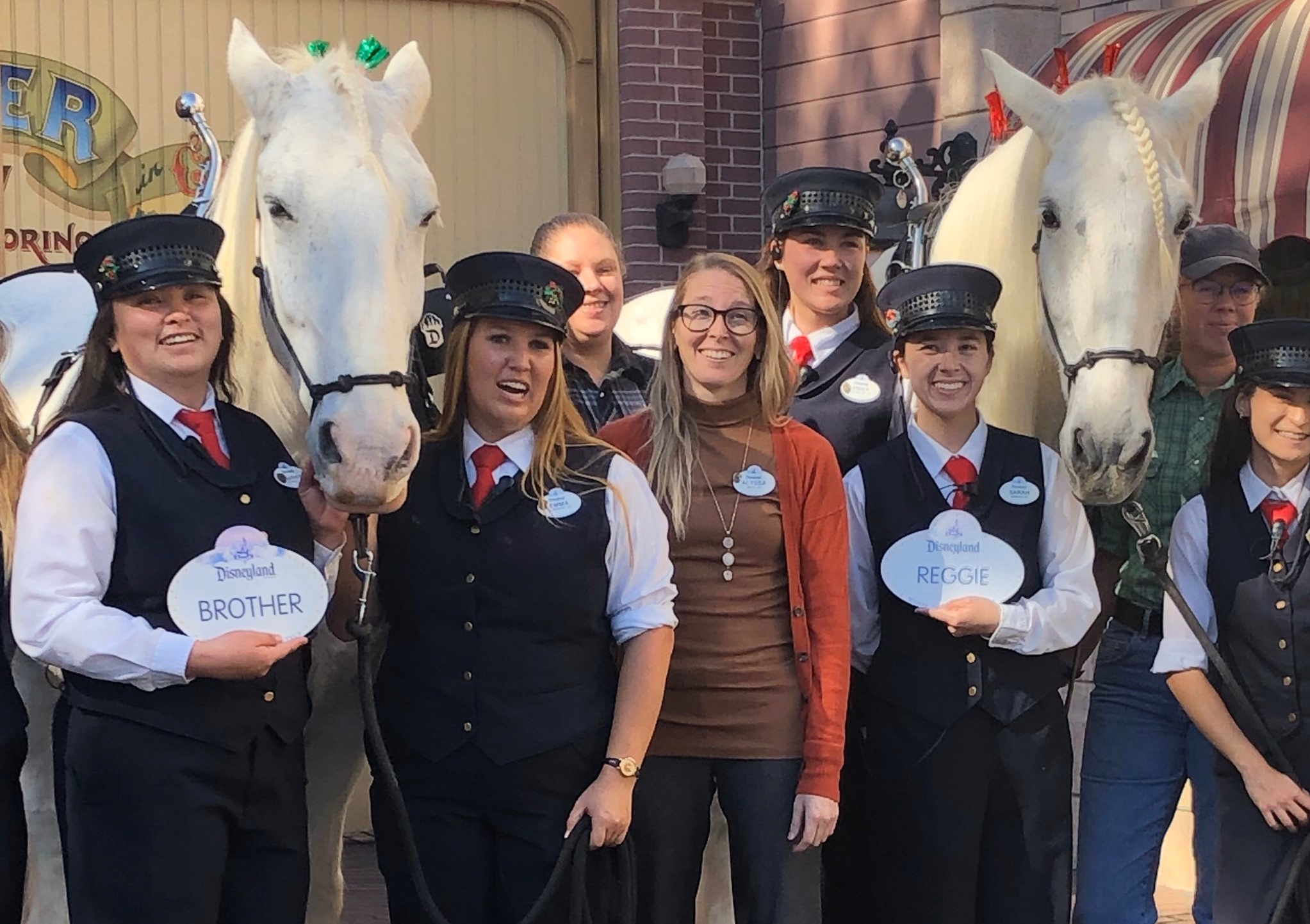 Two of Disneyland’s Beloved Horses Are Now Retired Cast Members