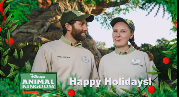 Animals Celebrate the Holidays at Disney's Animal Kingdom