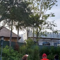 Photos: Animal Kingdom Club 33 Construction Update