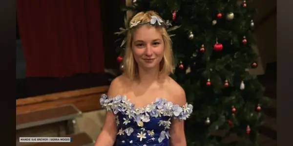 Young Fan Uses Imagination to Create Disney Parks Bag Dress